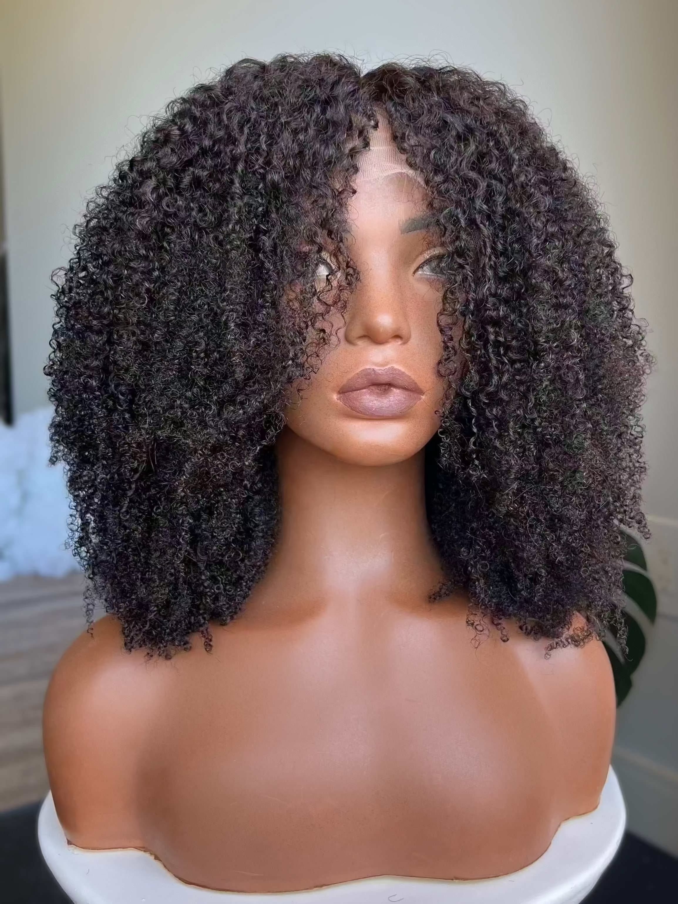 Taj 13x6 HD Lace Front Wig in natural black with dense coily curls