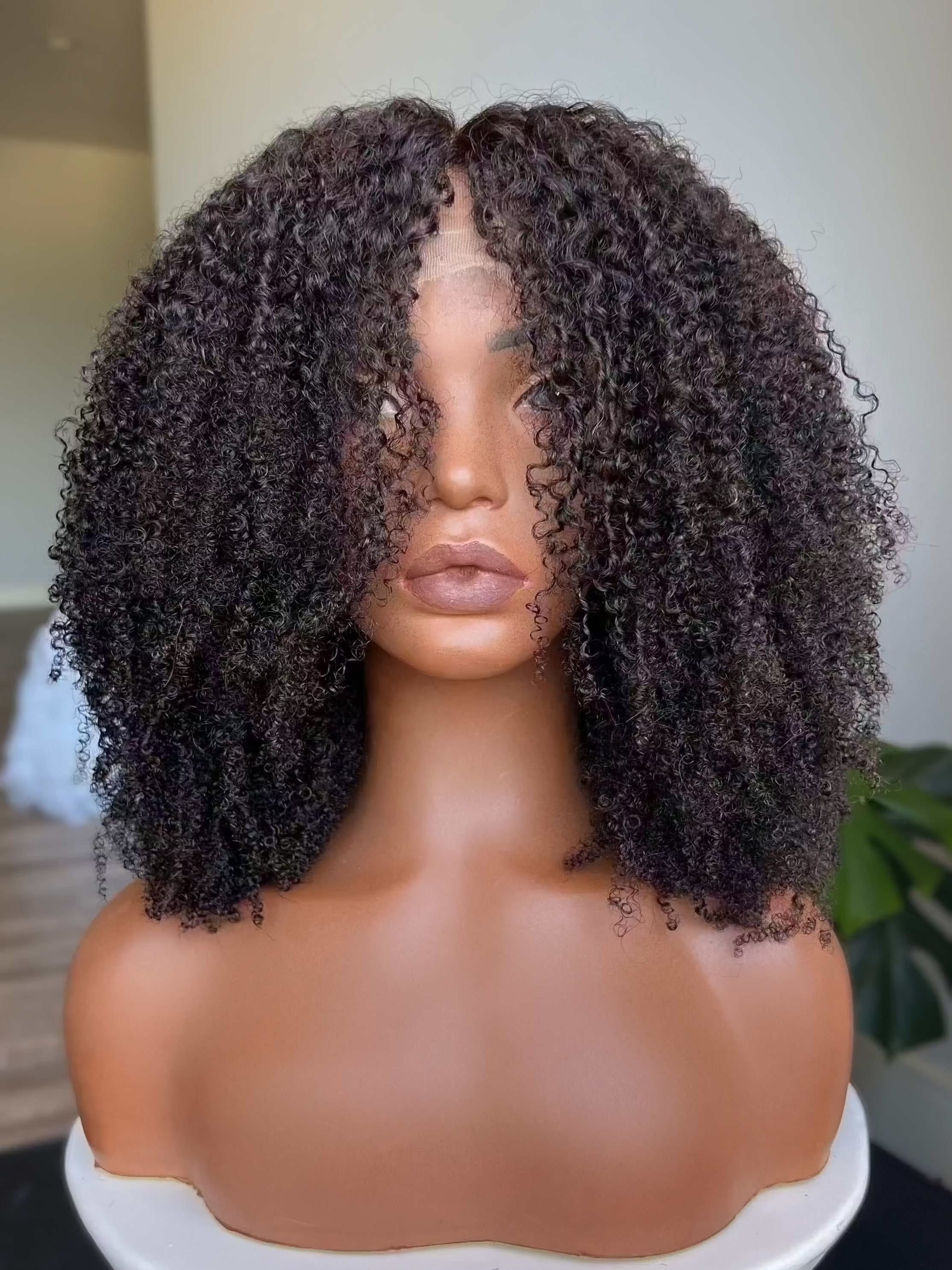 Taj 13x6 HD Lace Front Wig showing tight, defined coily curls