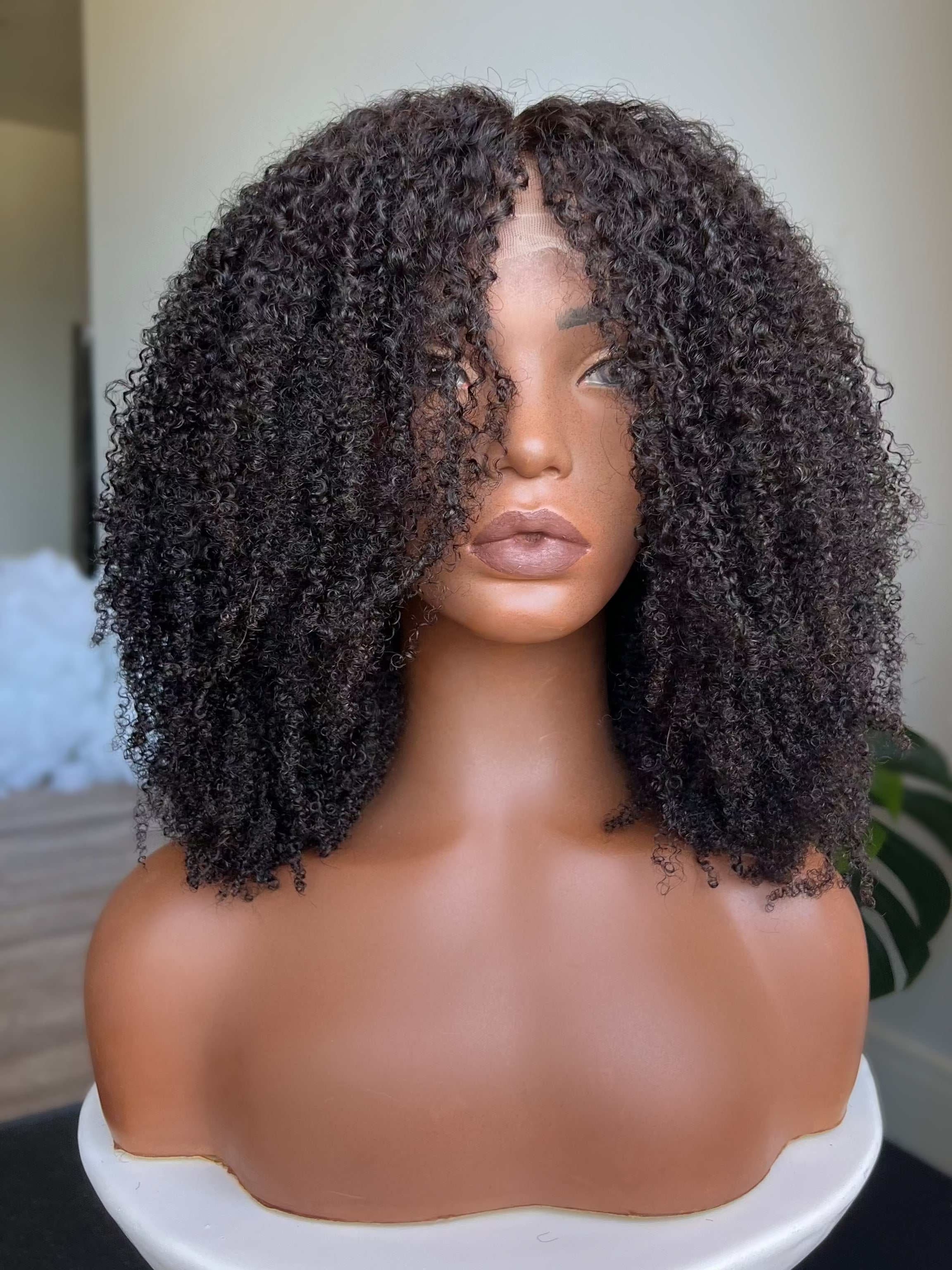 Taj HD Lace Front Wig – 100% virgin Indian hair – Nahara’s Curls
