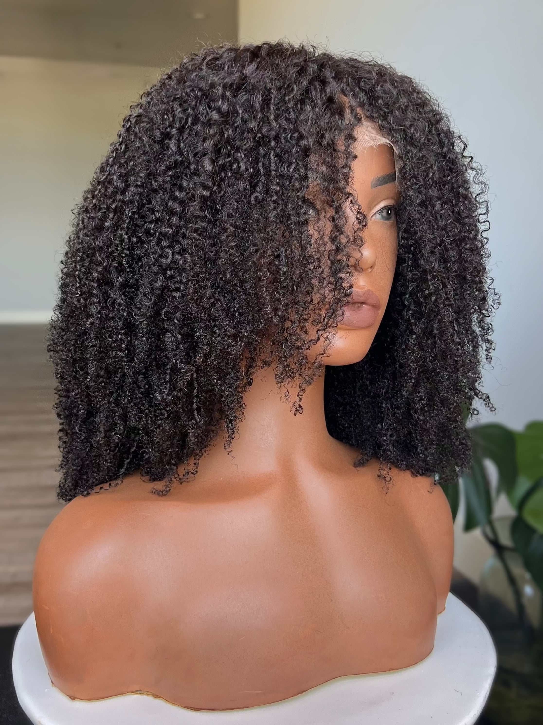 Taj HD Lace Front Wig in natural black with coily texture