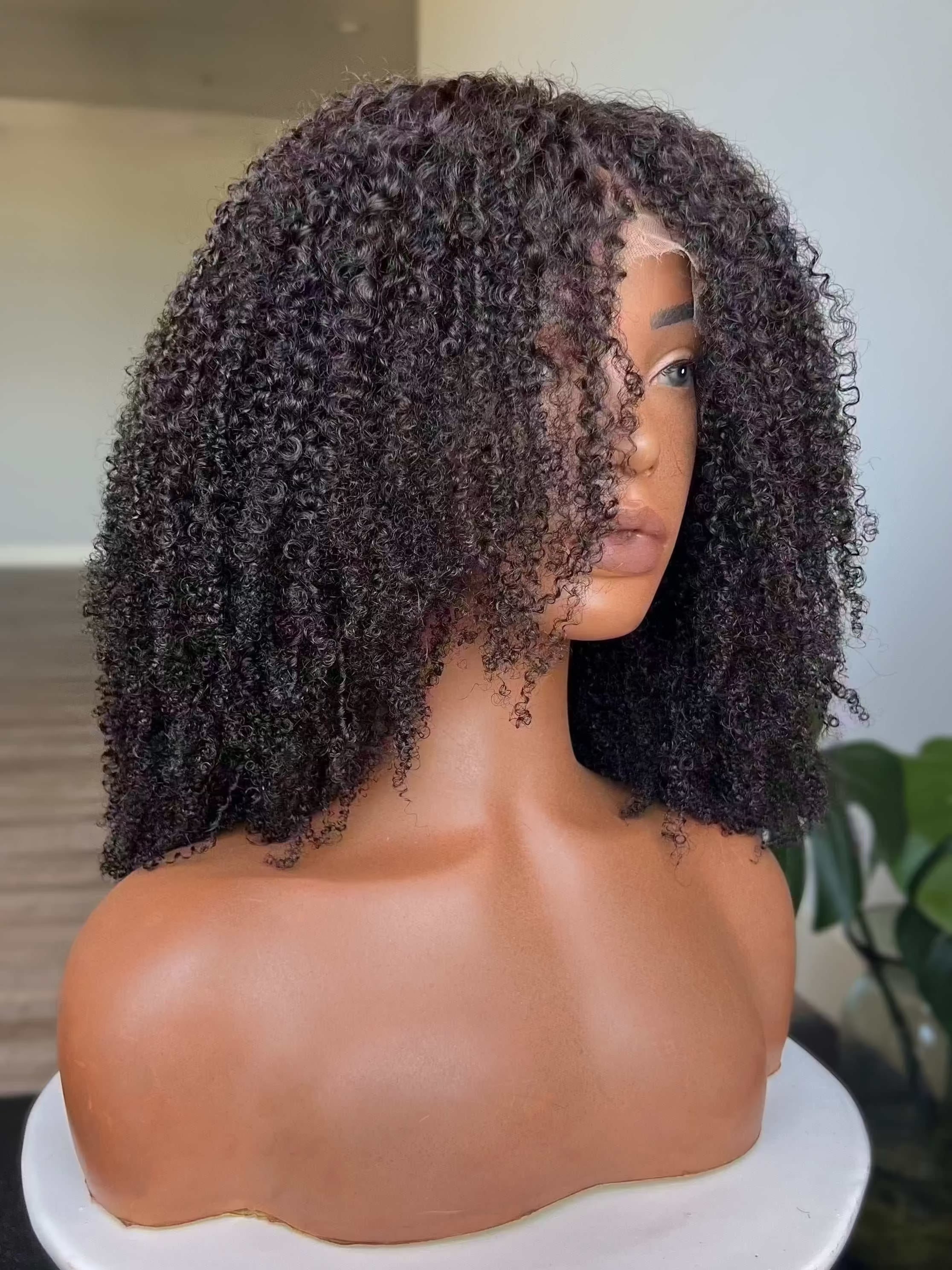 Taj 13x6 HD Lace Front Wig side profile showing natural volume