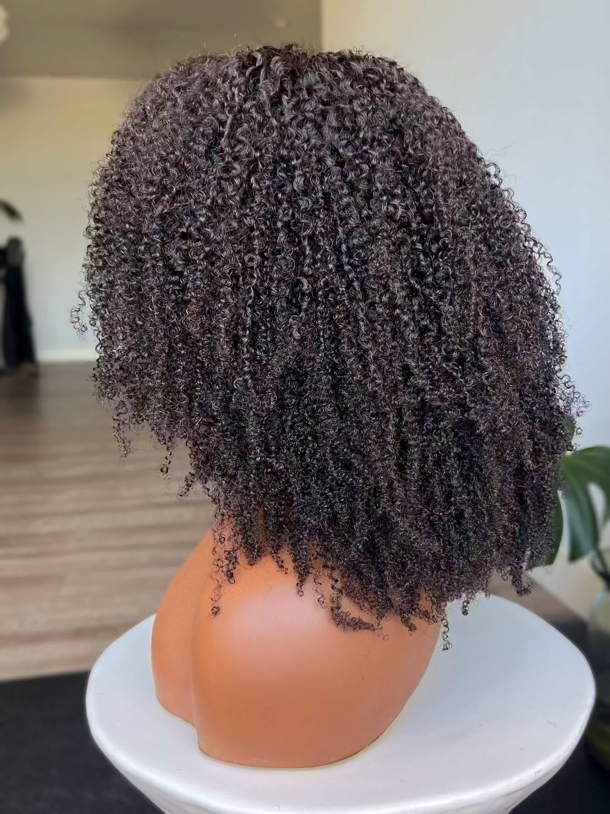 Taj 13x6 HD Lace Front Wig back view with full coily density