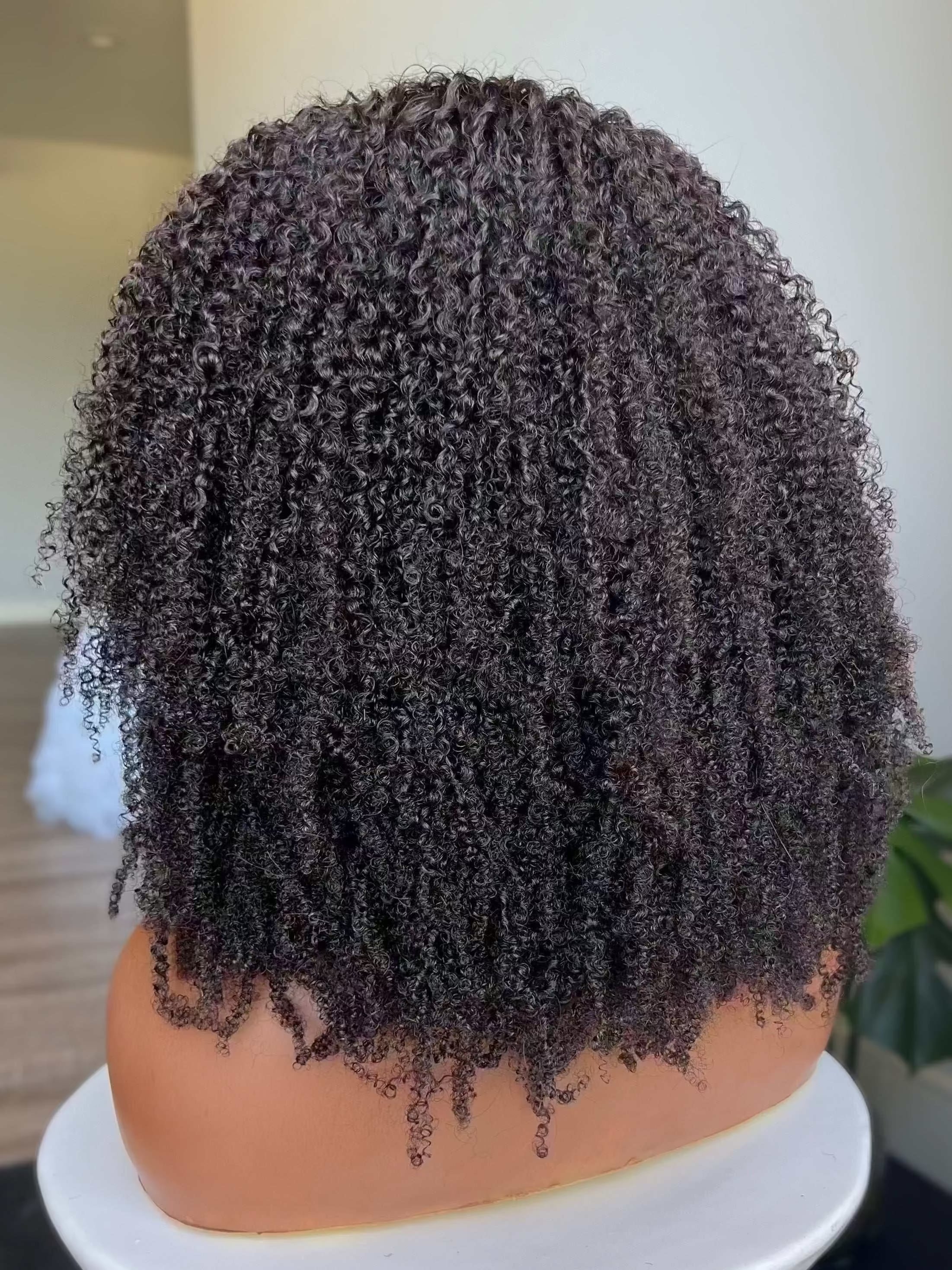 Taj 13x6 HD Lace Front Wig showing full texture and movement