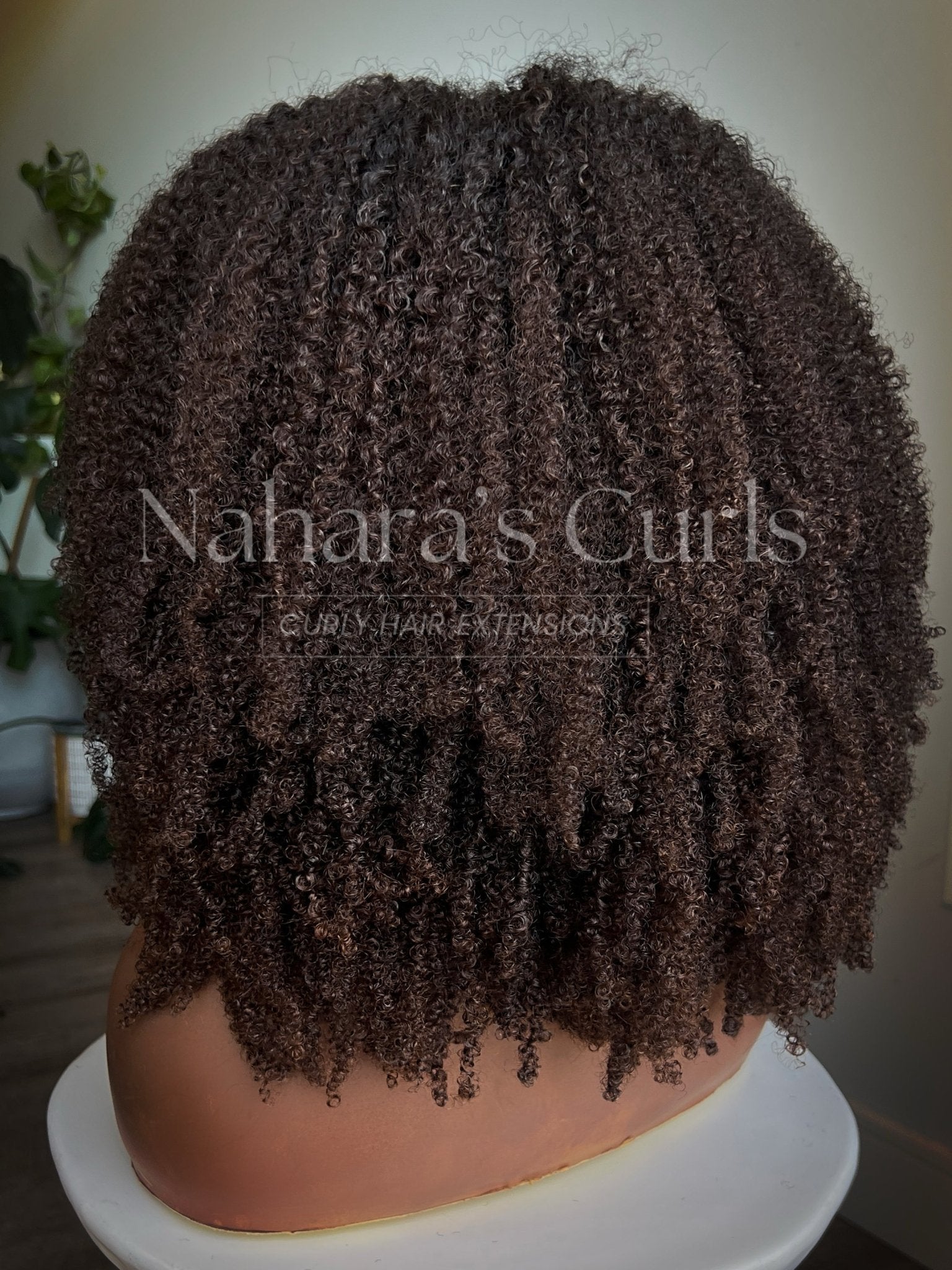 Back view of the Amara 13 by 6 HD Lace Front Wig showing coily length and density