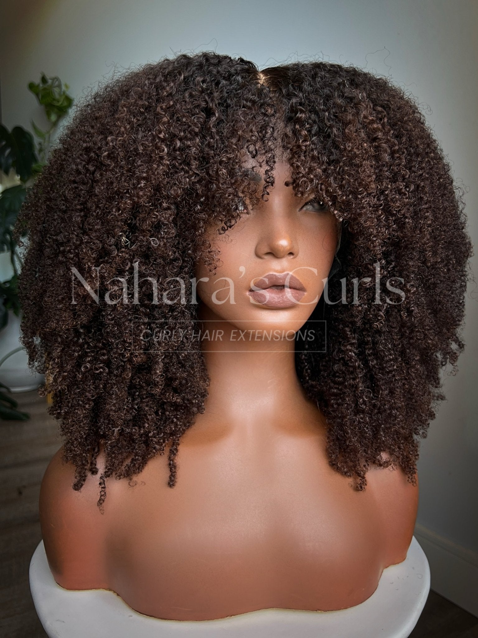 Front view of the Amara 13 by 6 HD Lace Front Wig featuring soft 4B curls and flawless HD melt for a natural, luxury finish