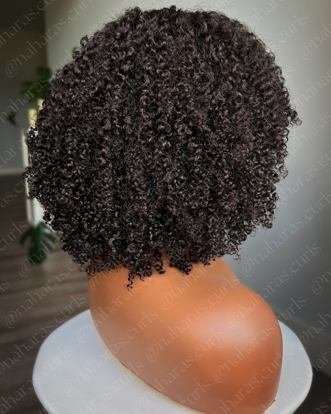 Back view of Anaya 13 by 6 HD Lace Front Wig 3C/4A showing curl pattern and fullness