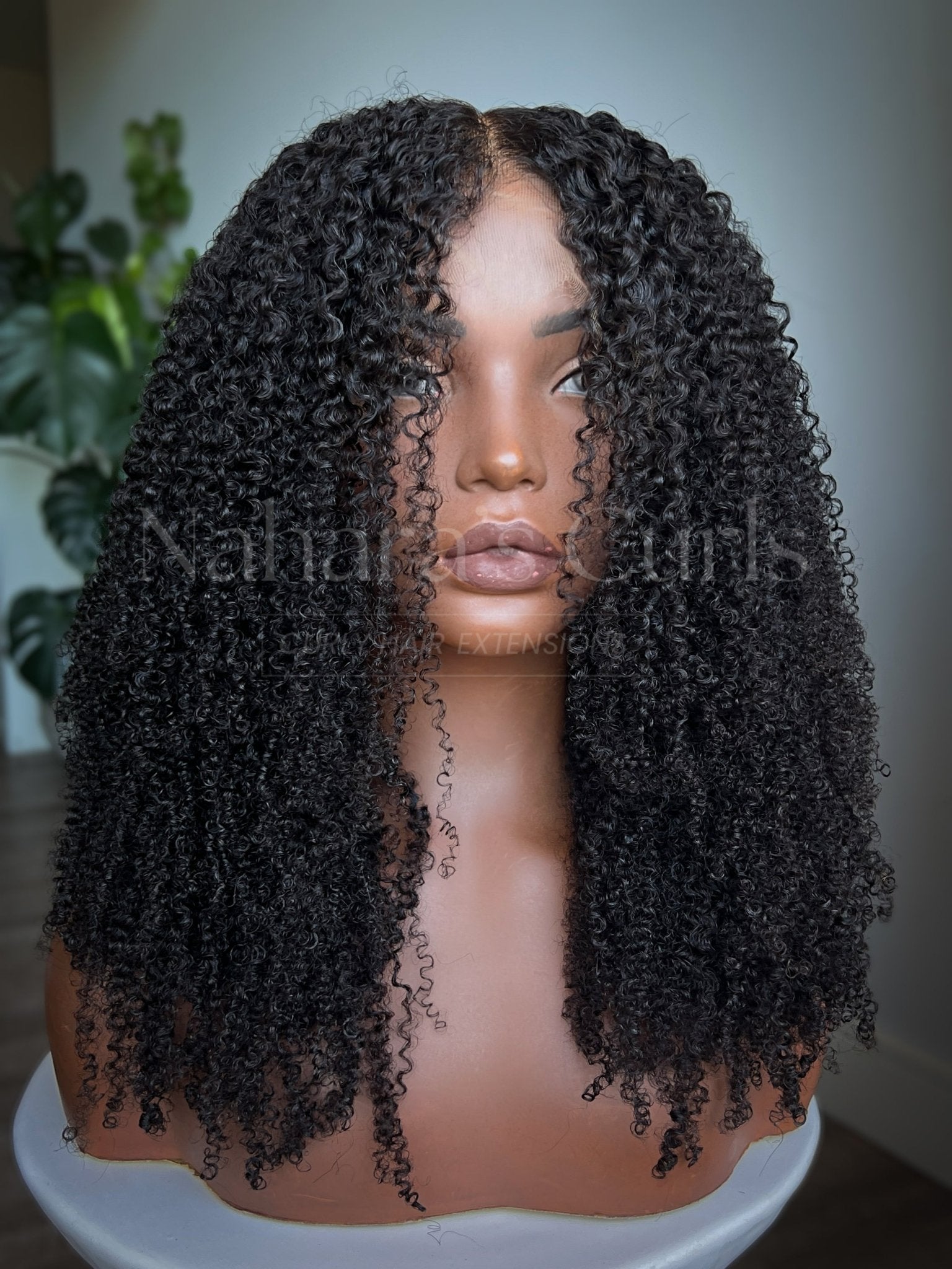 Aura 13x6 HD Lace Front Wig with defined curls and natural volume