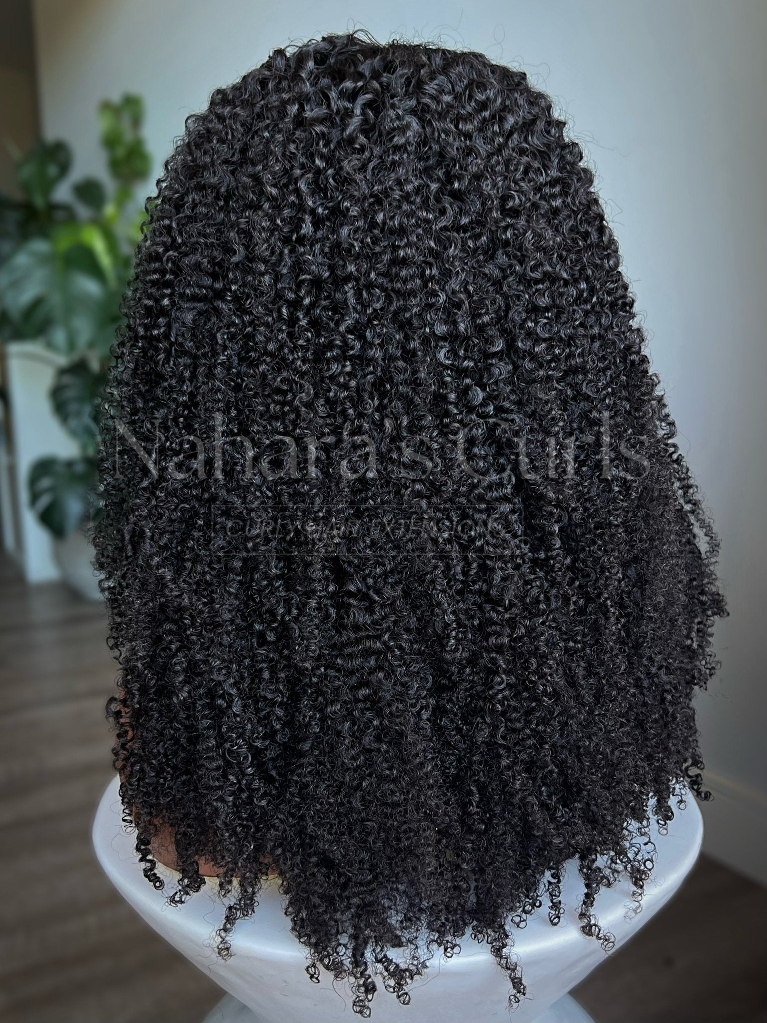 Back view of Aura 13x6 HD Lace Front Wig showing full curly texture and natural density