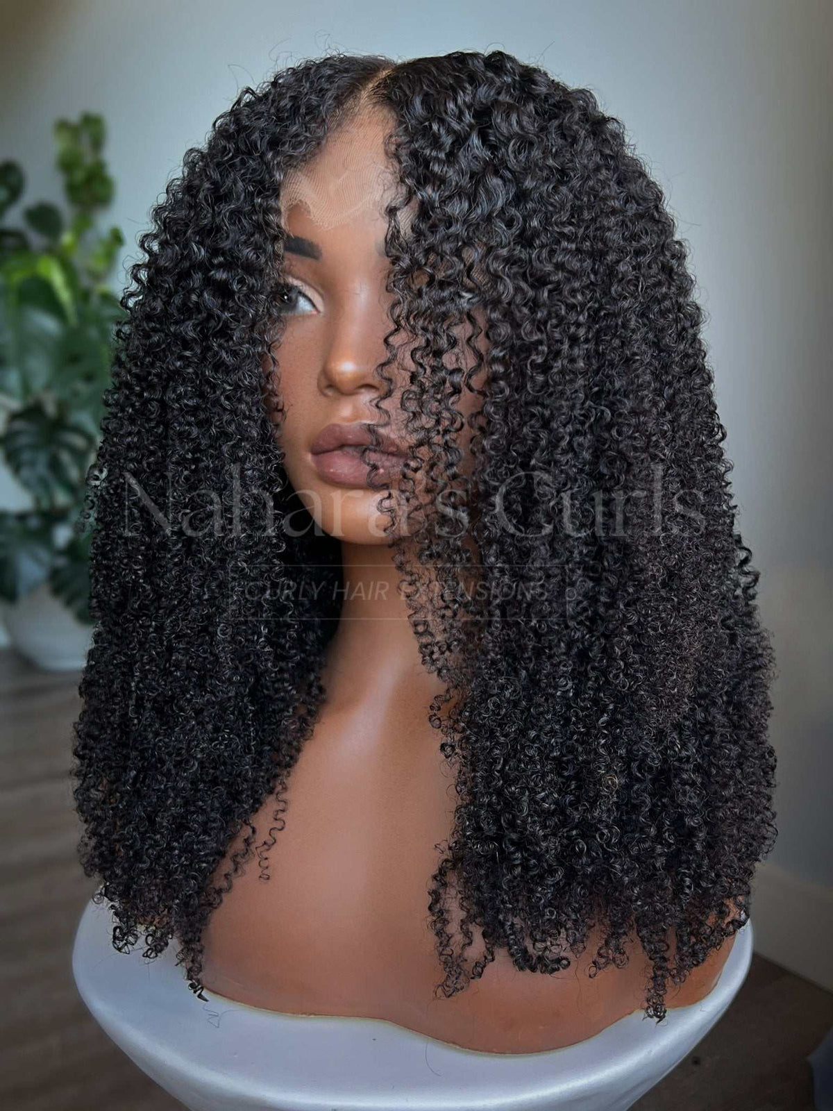 Front view of the Aura 13×6 HD Lace Front Wig showing kinky curly texture and the HD lace hairline