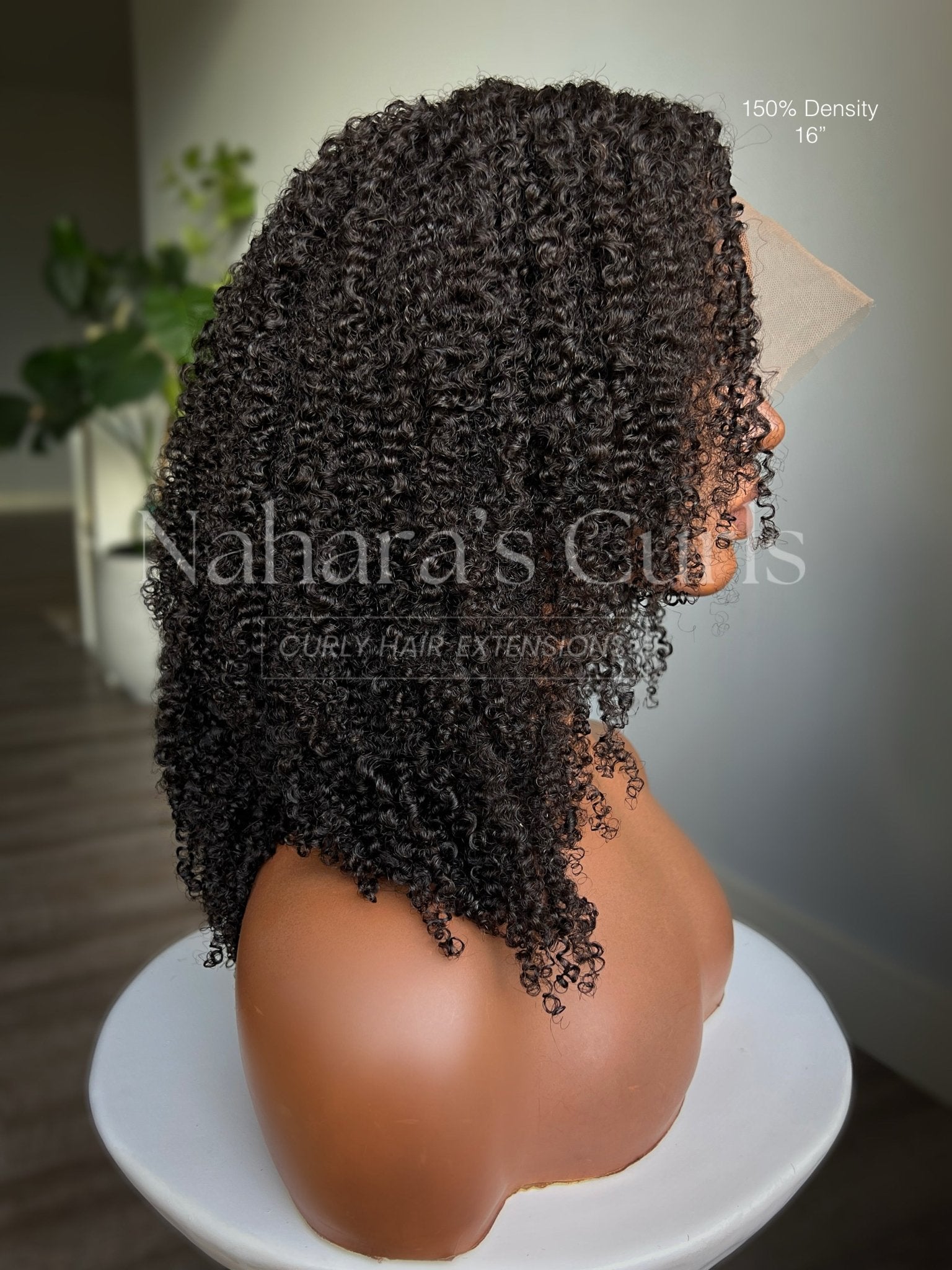 Curly wig showing volume and length from the back