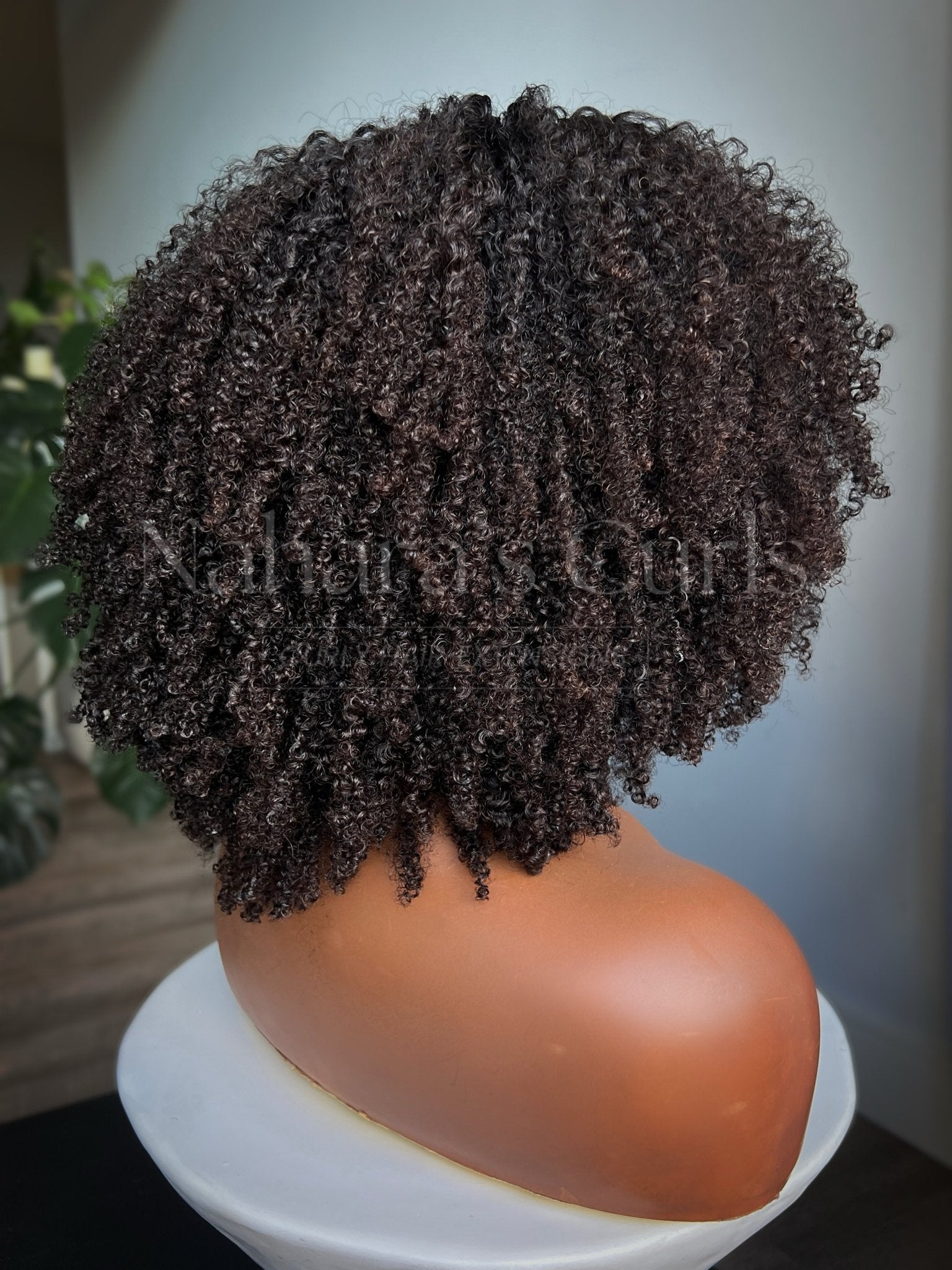 Kinky coily lace front wig showing back and side volume, natural dark brown textured hair — Nahara's Curls
