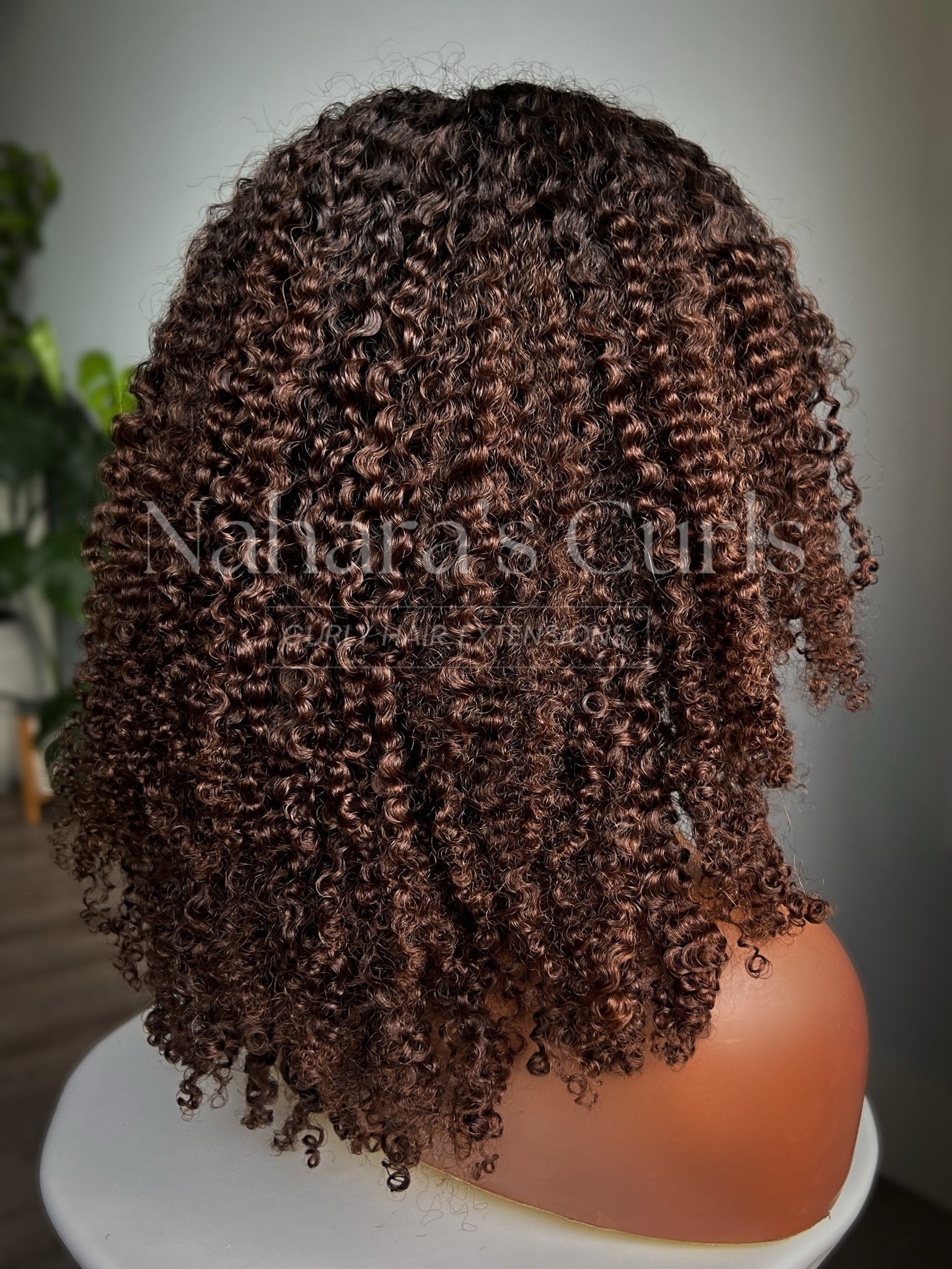 Back view of Nila 13 by 6 HD Lace Front Wig highlighting full curl density and long length