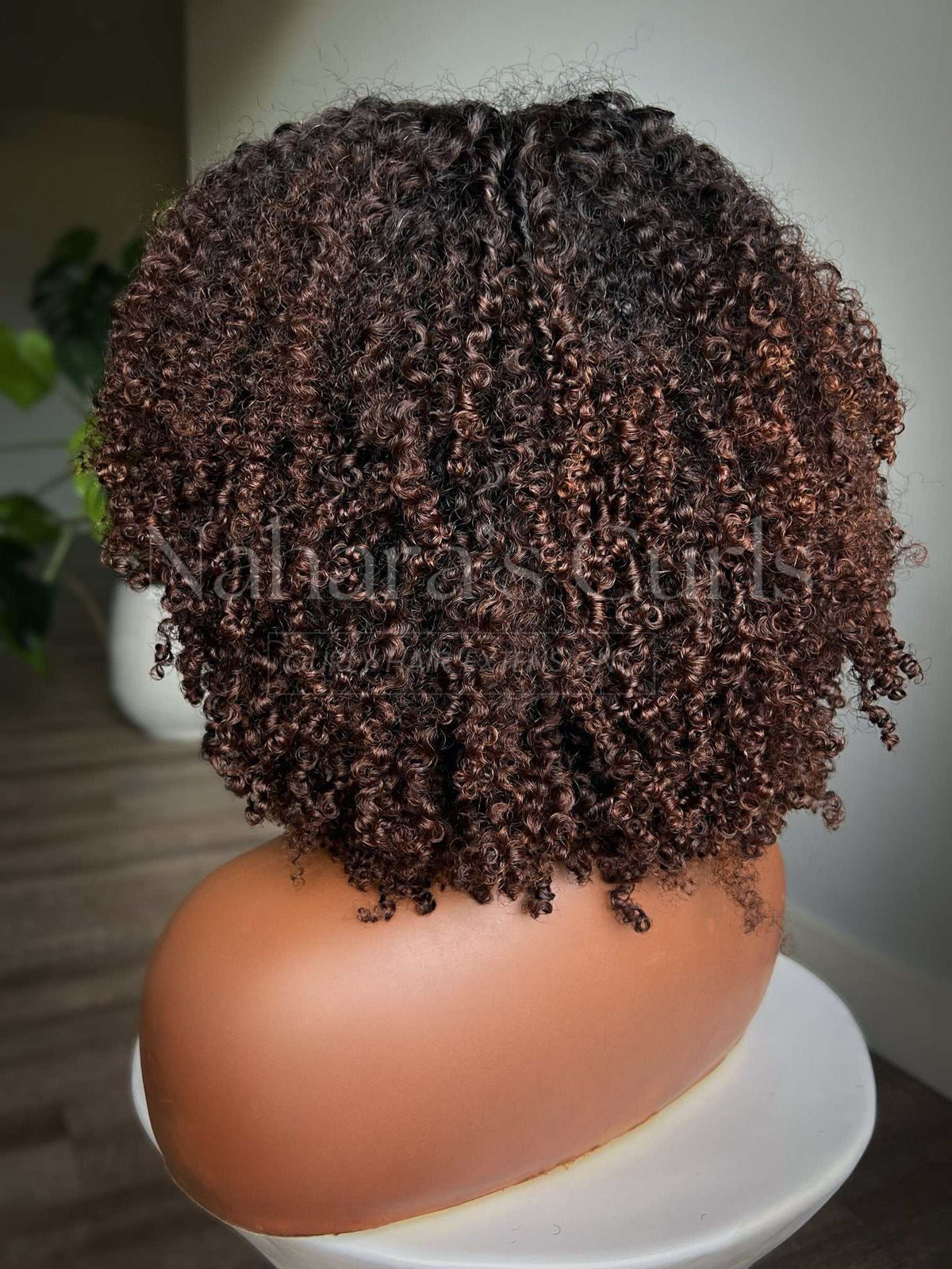 Back view of a kinky curly human hair wig showing dense curls, natural movement, and brown balayage