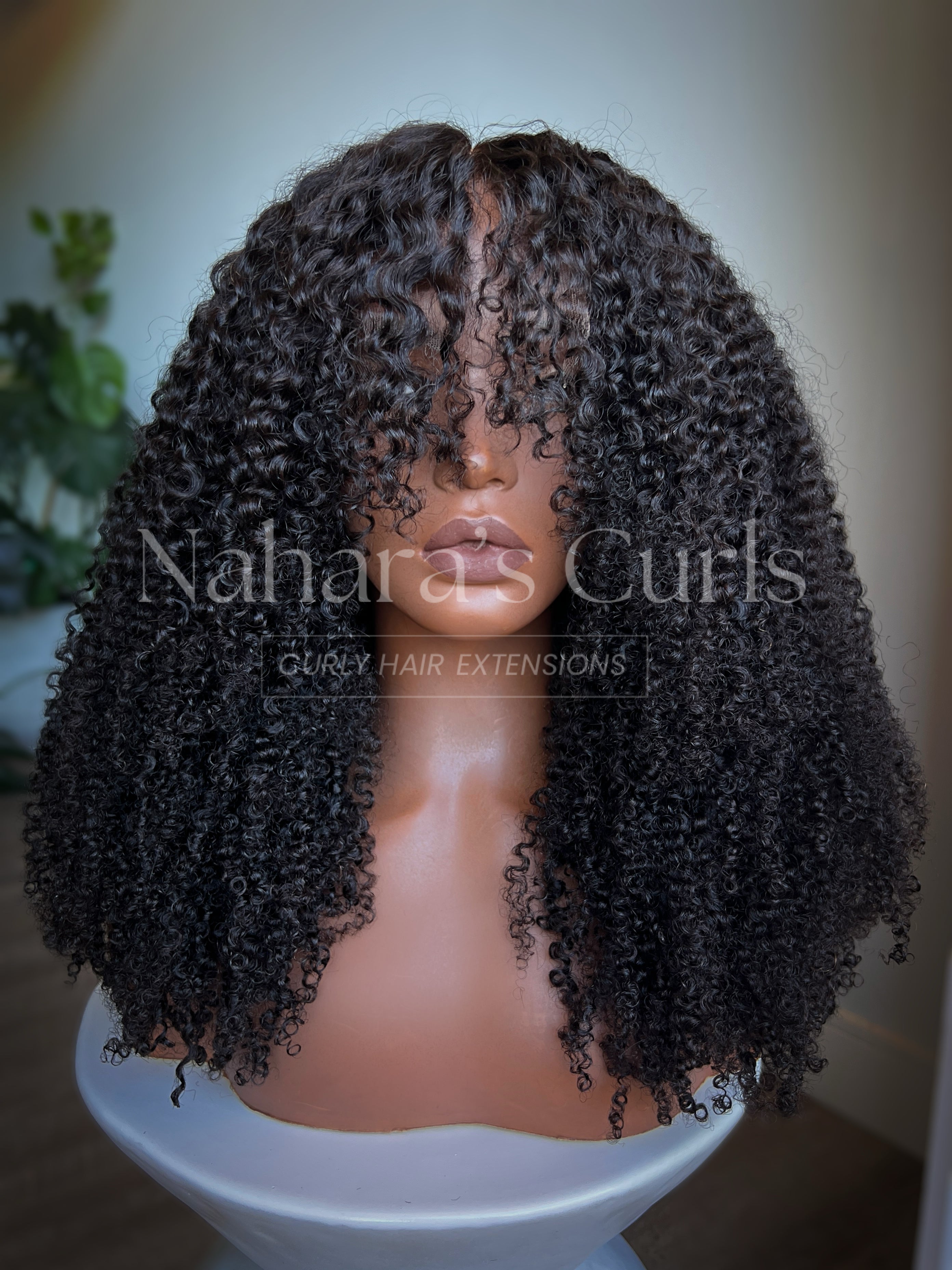 NEW! "Shanti" 13*6" HD Lace Front Wig