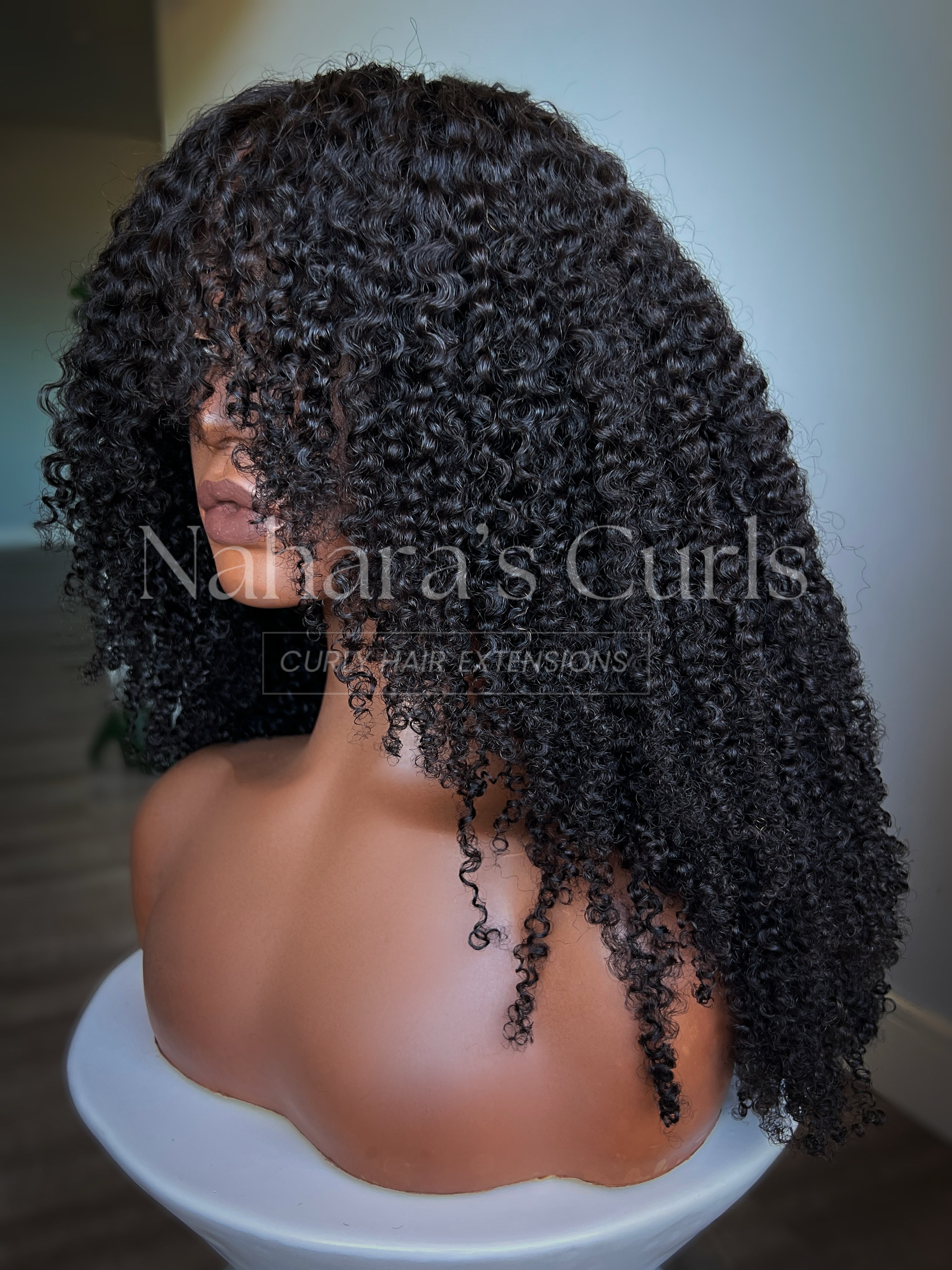 NEW! "Shanti" 13*6" HD Lace Front Wig