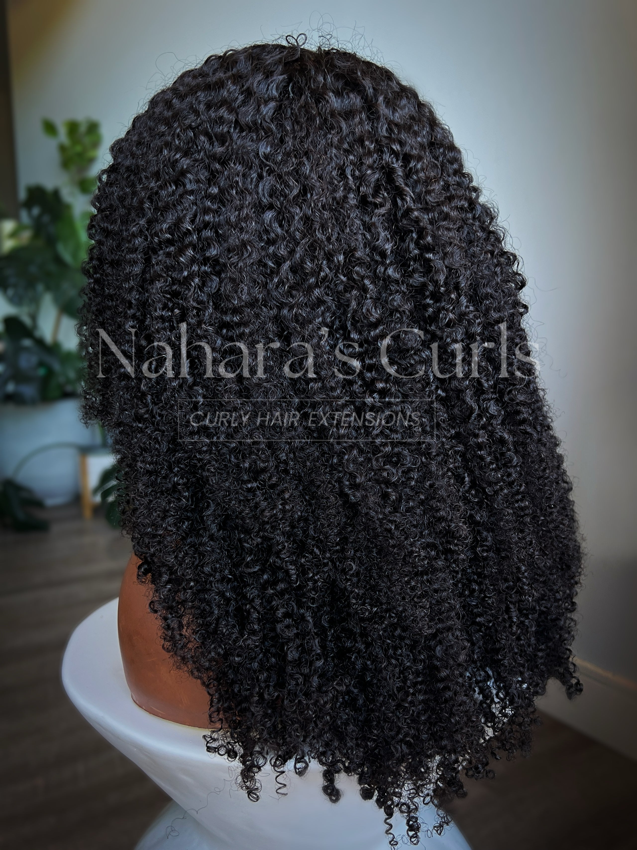 NEW! "Shanti" 13*6" HD Lace Front Wig