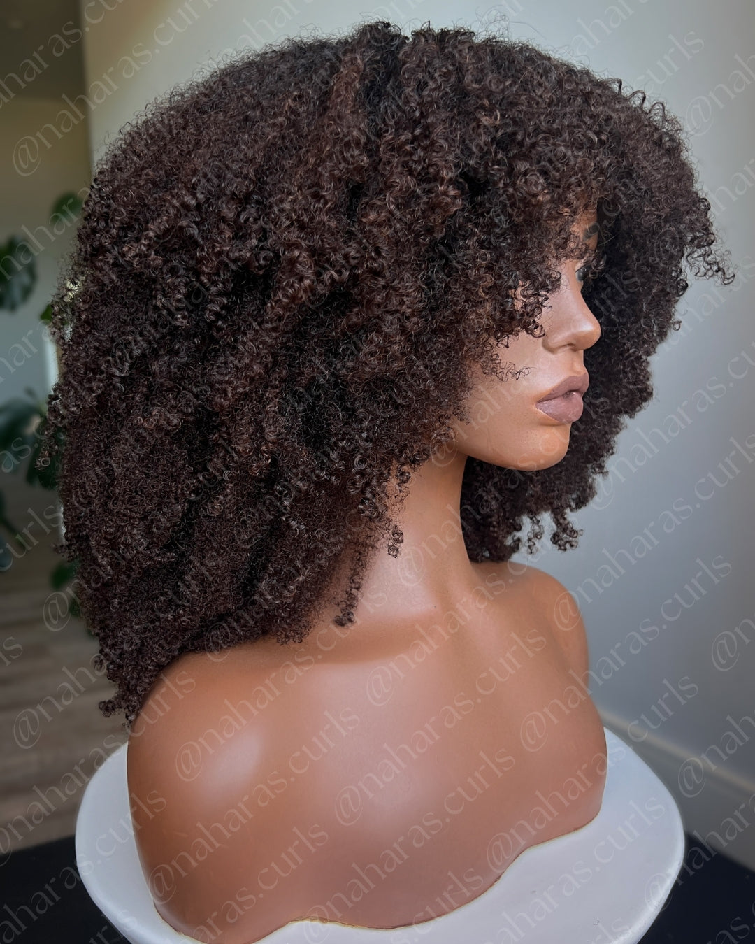 "Ishani" 13*5.5" HD Contour Lace Front Wig