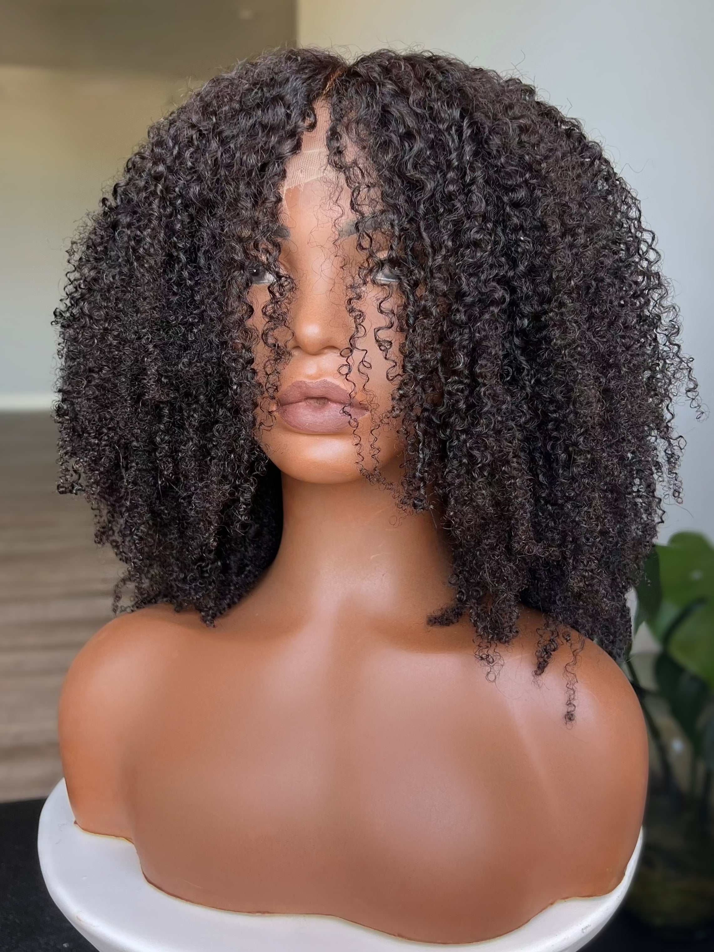 13x6 Taj HD Lace Front Wig with soft, voluminous coils