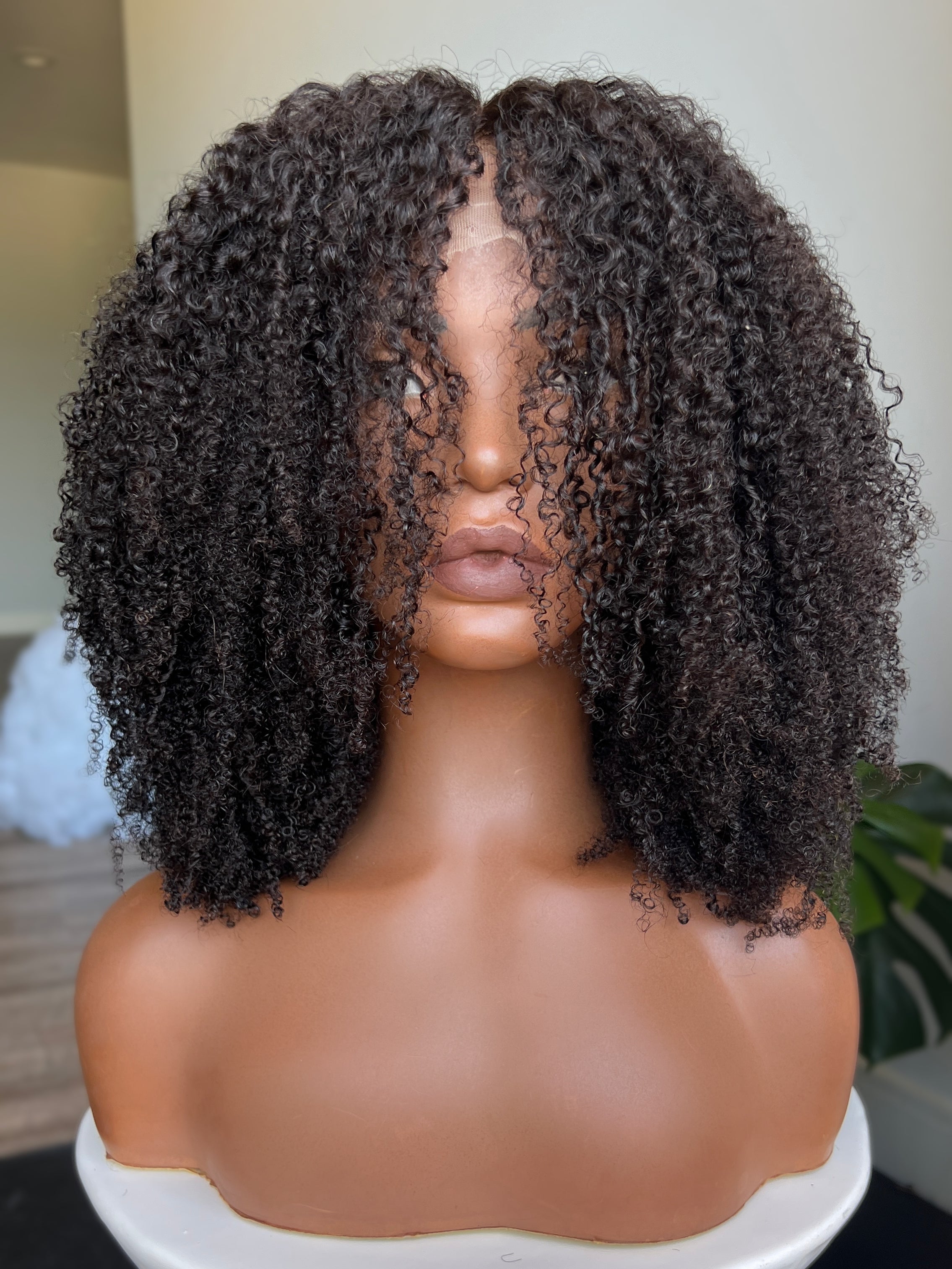 "Taj" 13*6 HD Lace Front Wig