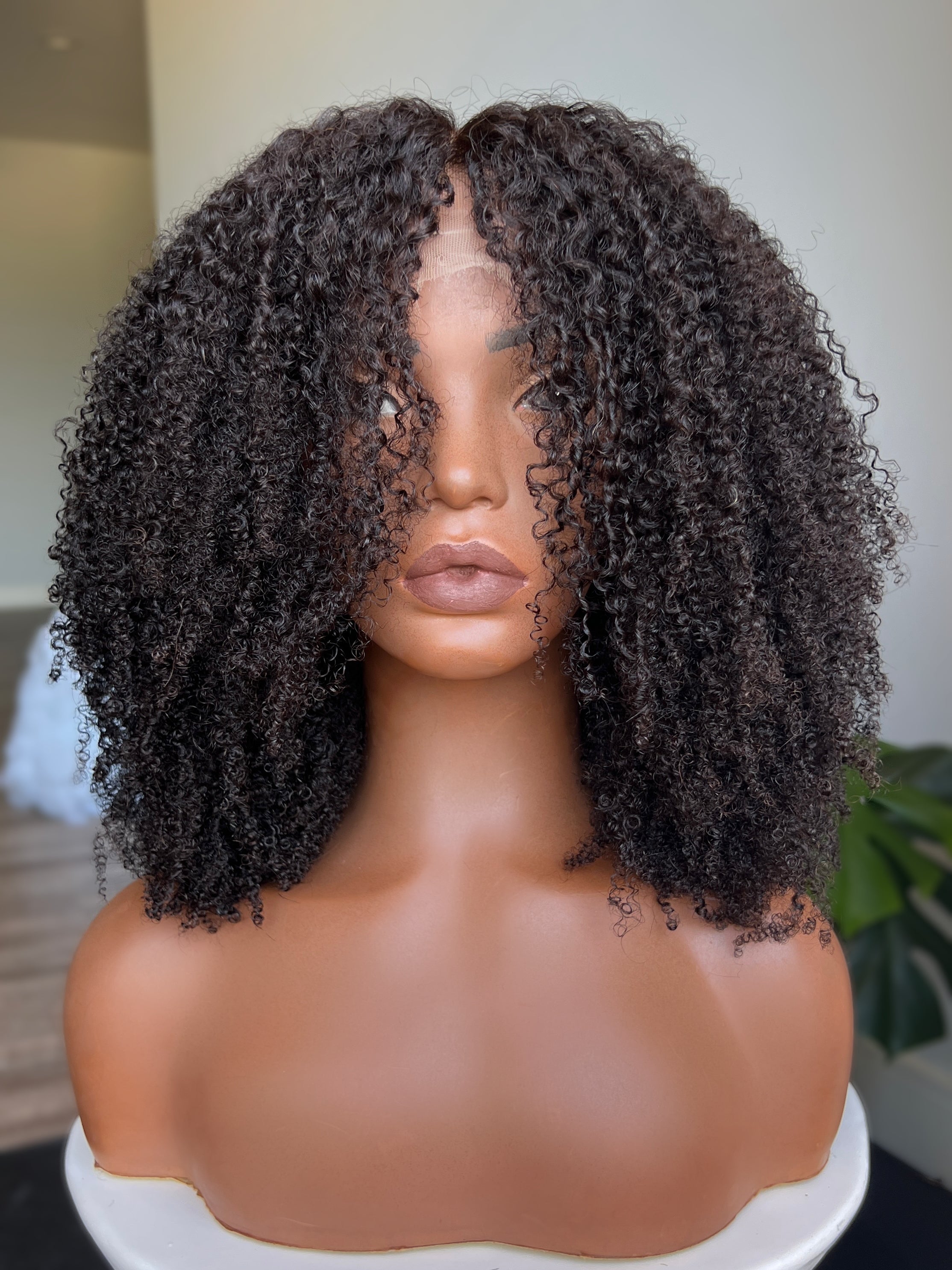 "Taj" 13*6 HD Lace Front Wig