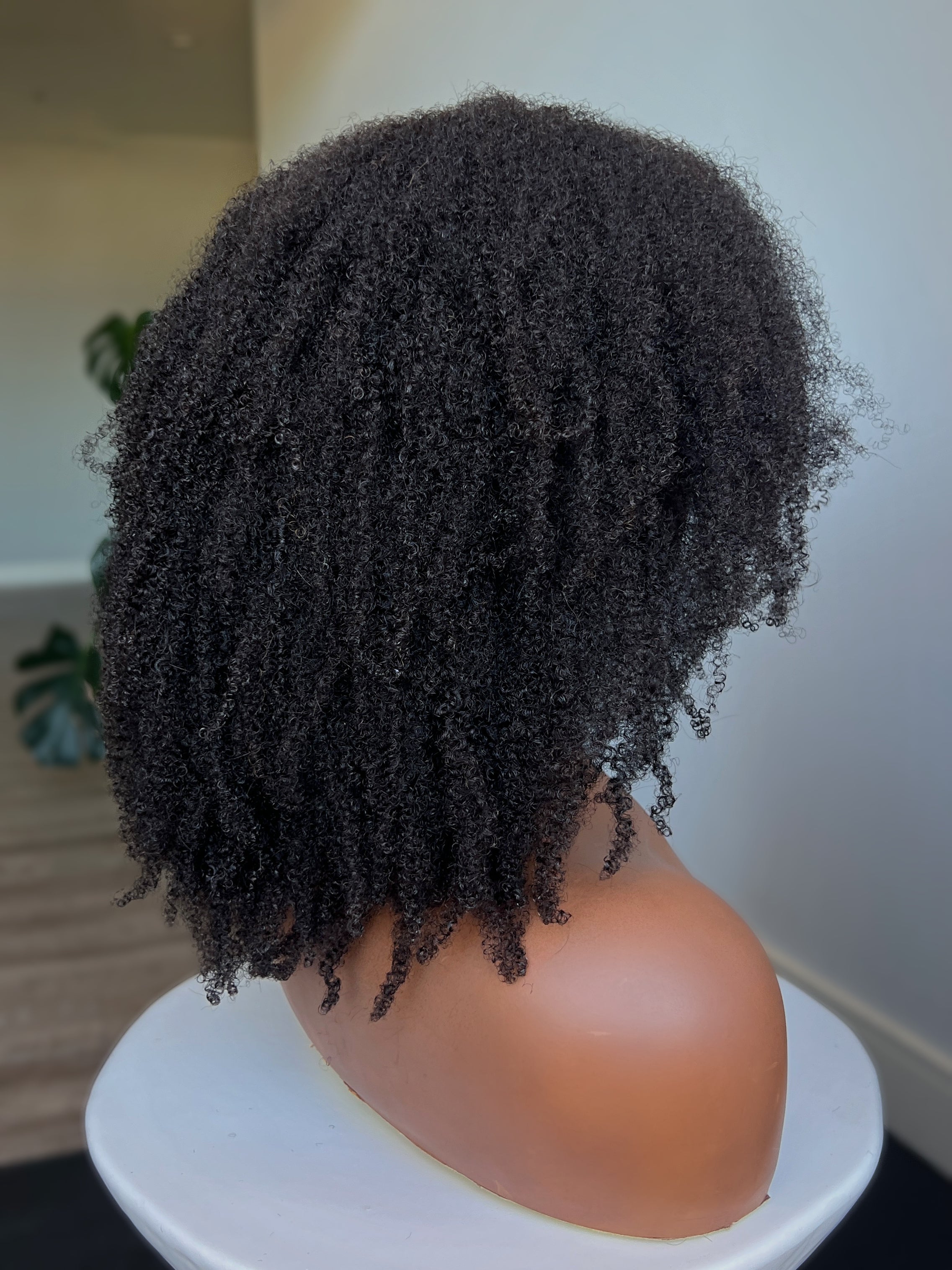 Coily (4C) Left U-Part Wig
