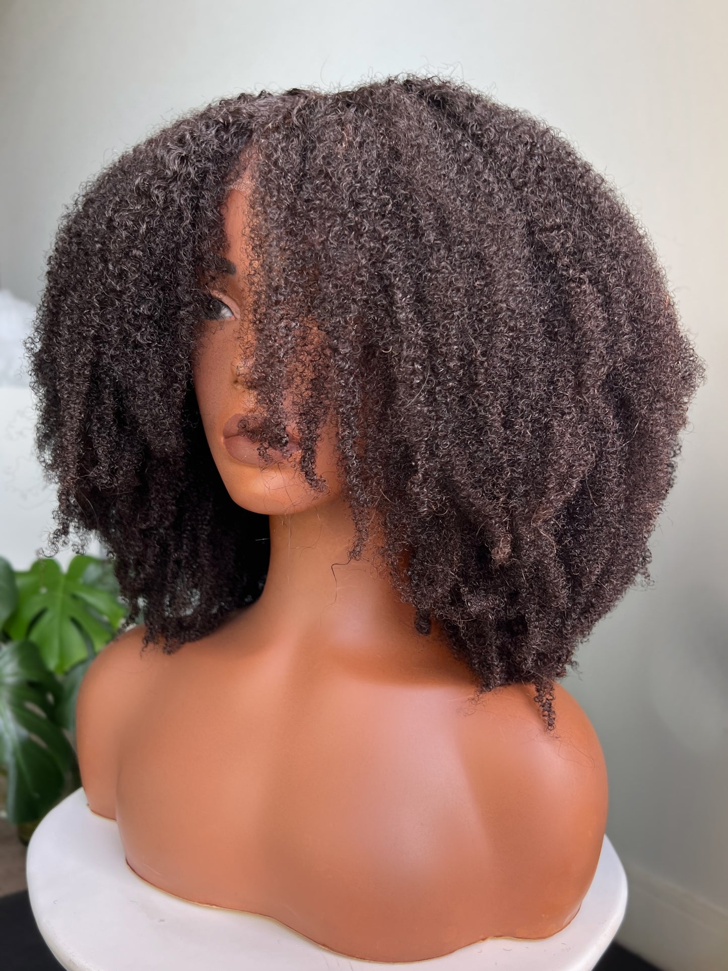 Taj Contour HD Lace Front Wig