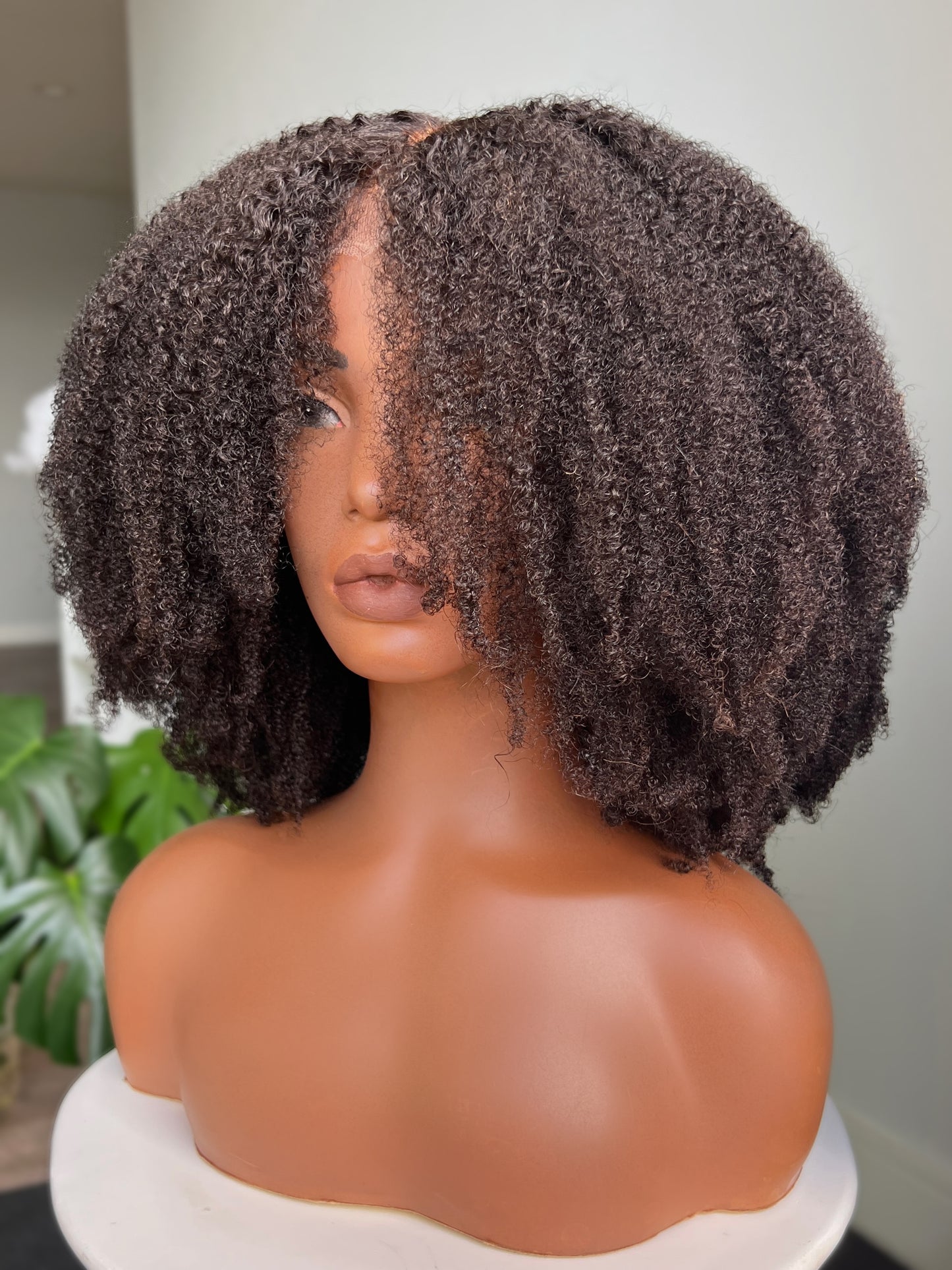 Taj Contour HD Lace Front Wig