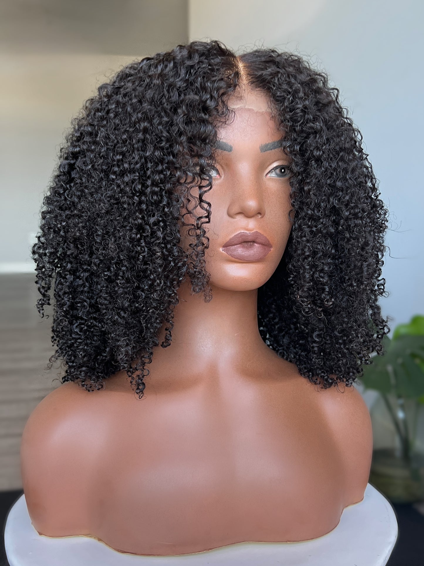 Aura Contour HD Lace Front Wig