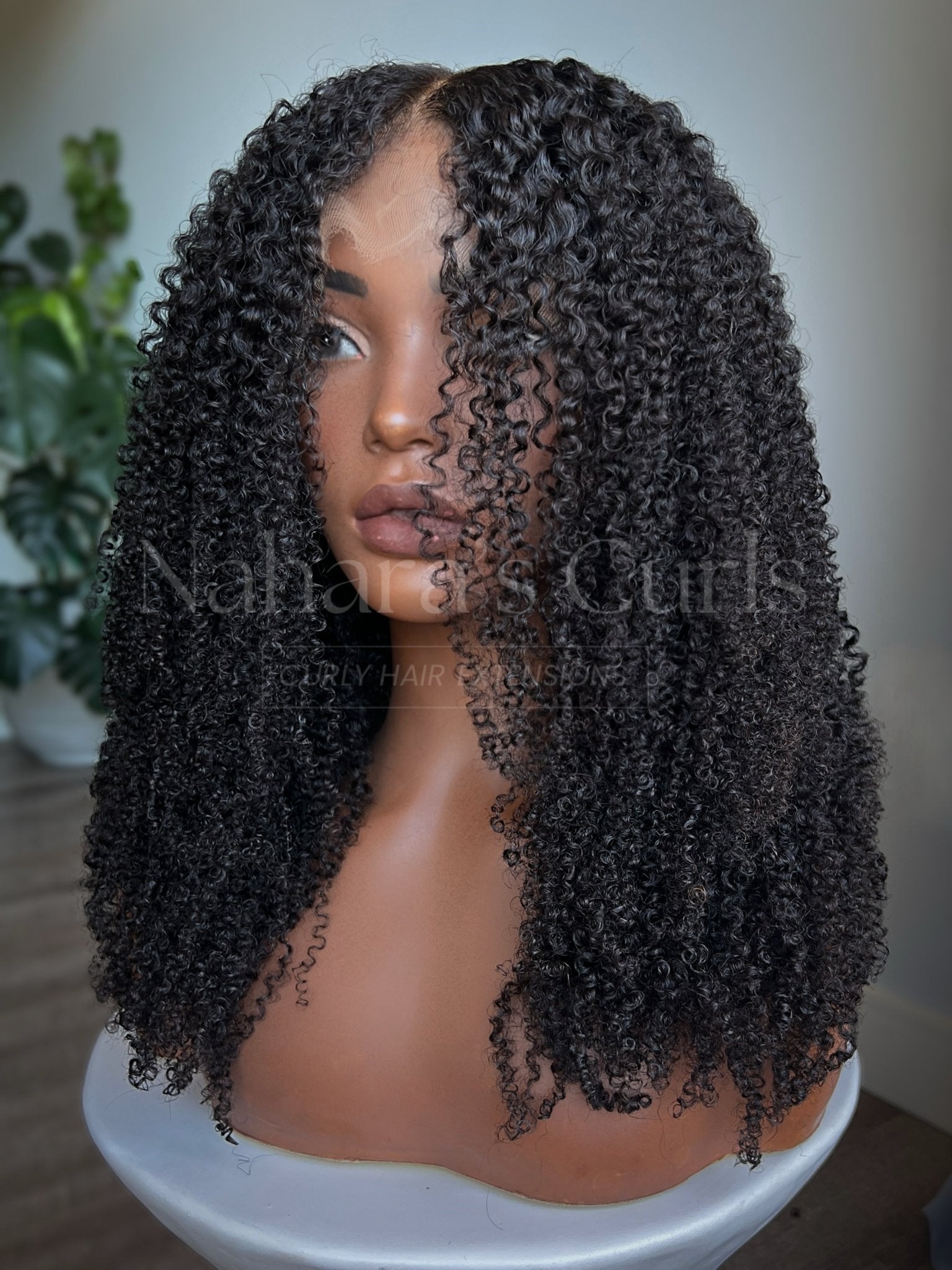 Front view of Aura 13x6 HD Lace Front Wig showing defined curly texture and HD lace hairline