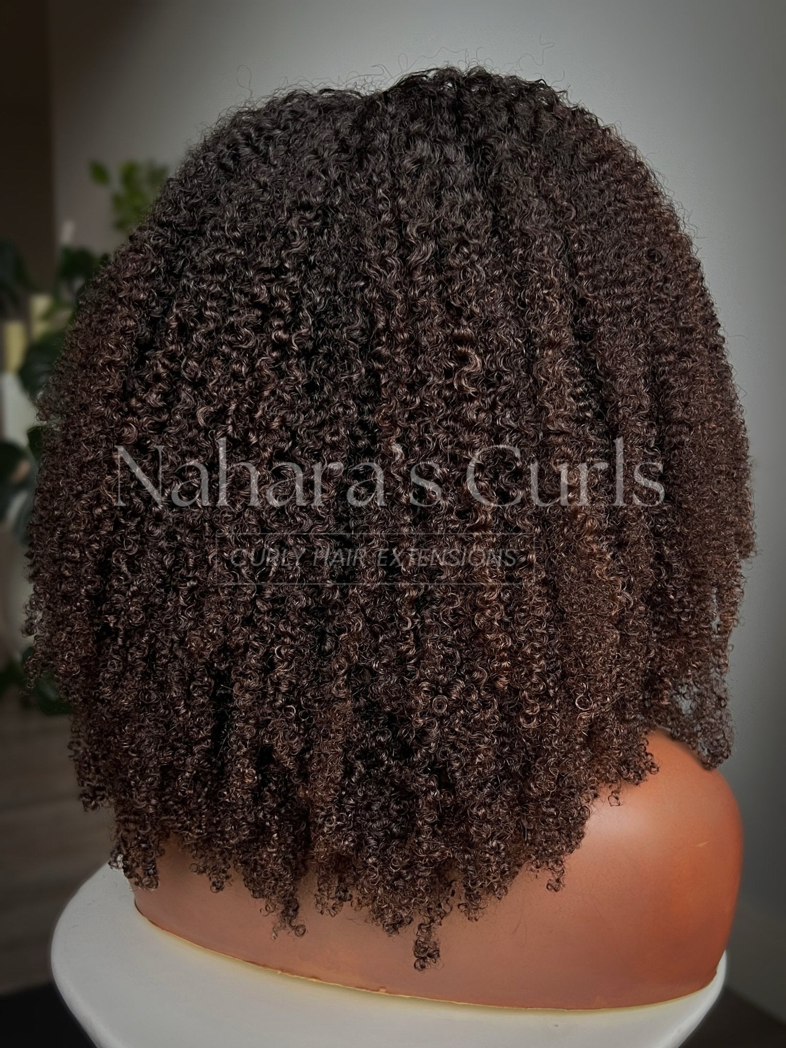 Back view of the Ishani 13 by 6 HD Contour Lace Front Wig showing full curls, shape, and length