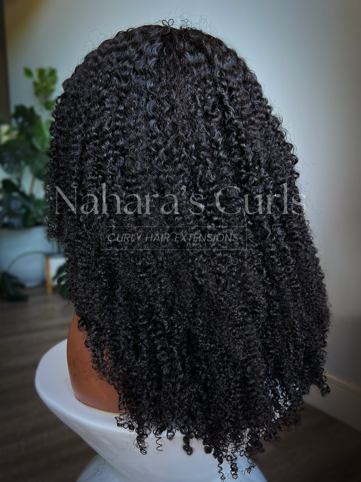 NEW! "Shanti" 13*6" HD Lace Front Wig | – Nahara's Curls