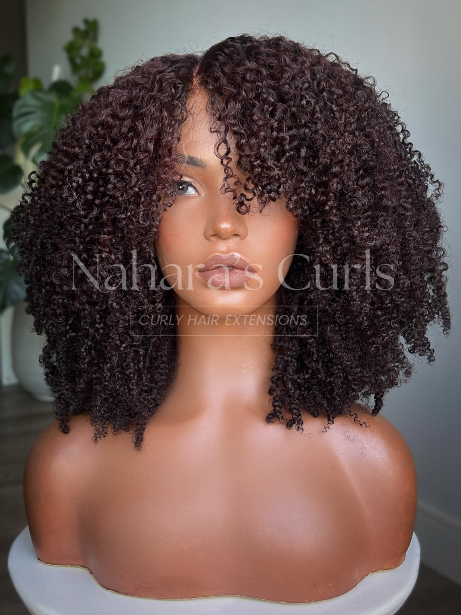 Veda 13x6 HD Lace Front Wig hybrid curls front view on model