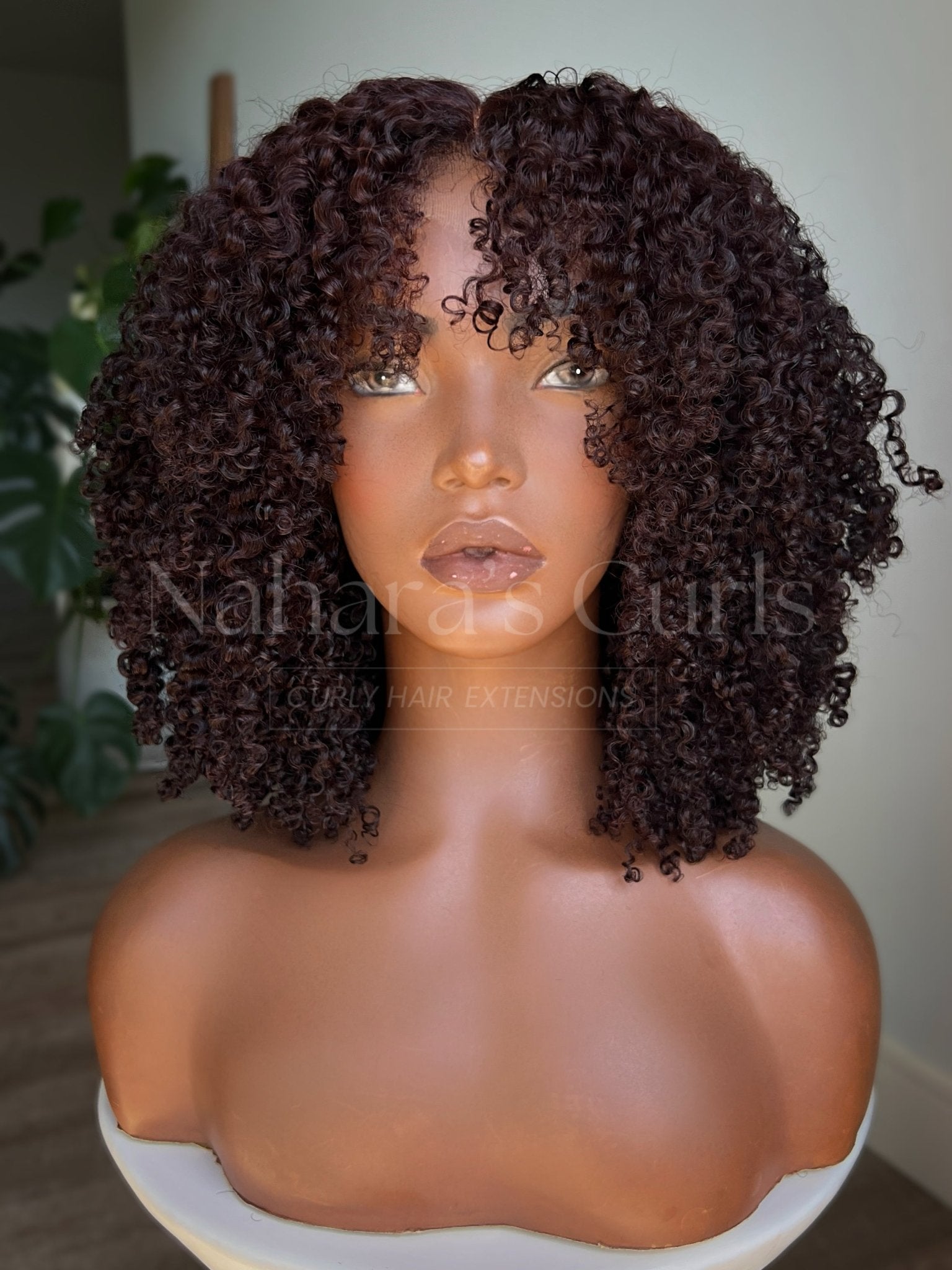 Kinky curly HD lace front wig with defined tight coils, chocolate brown color with natural roots front view
