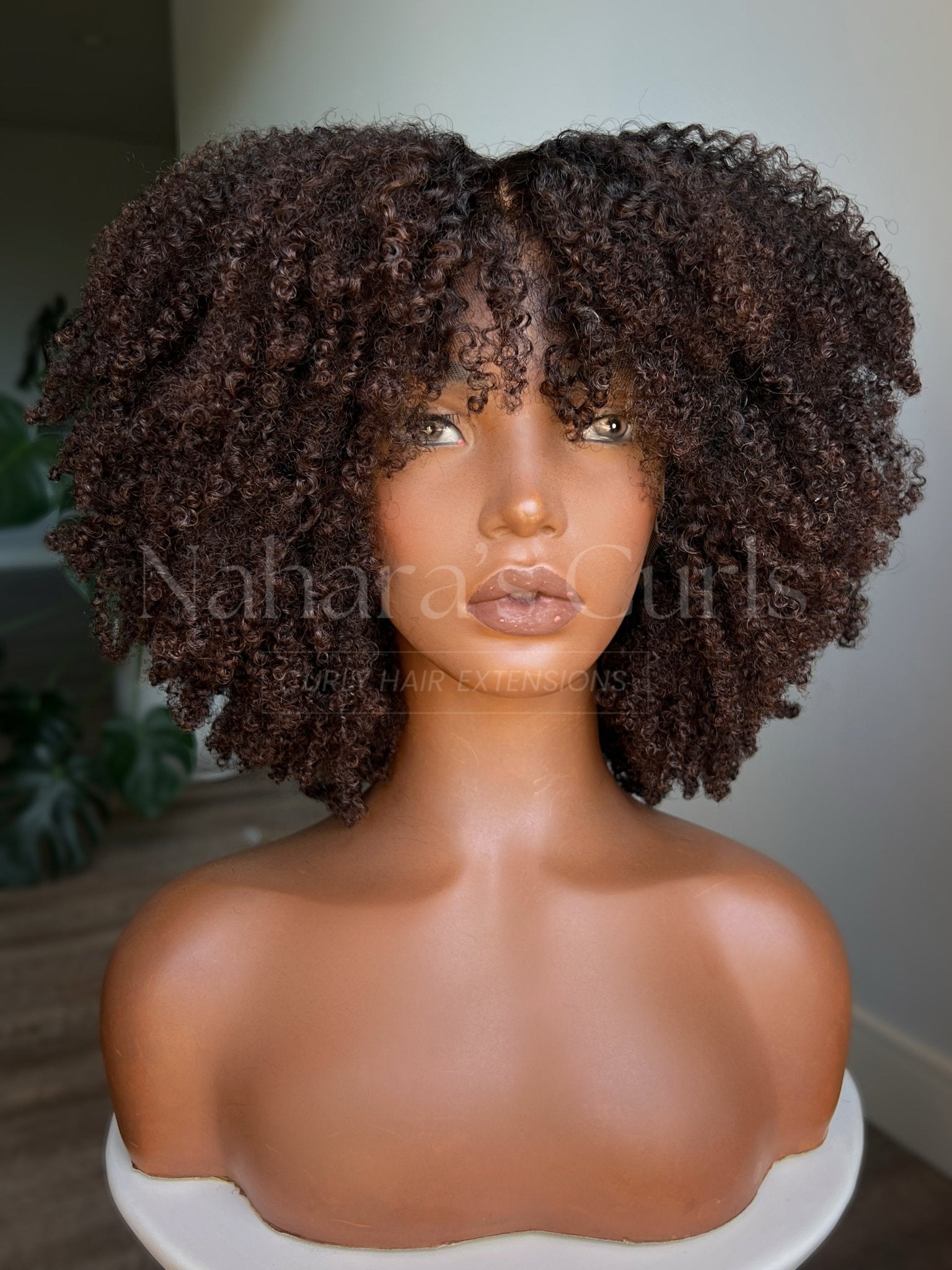 Zuri custom Taj curly wig in chocolate brown with natural roots, 13x6 HD lace front, defined tight curls front view
