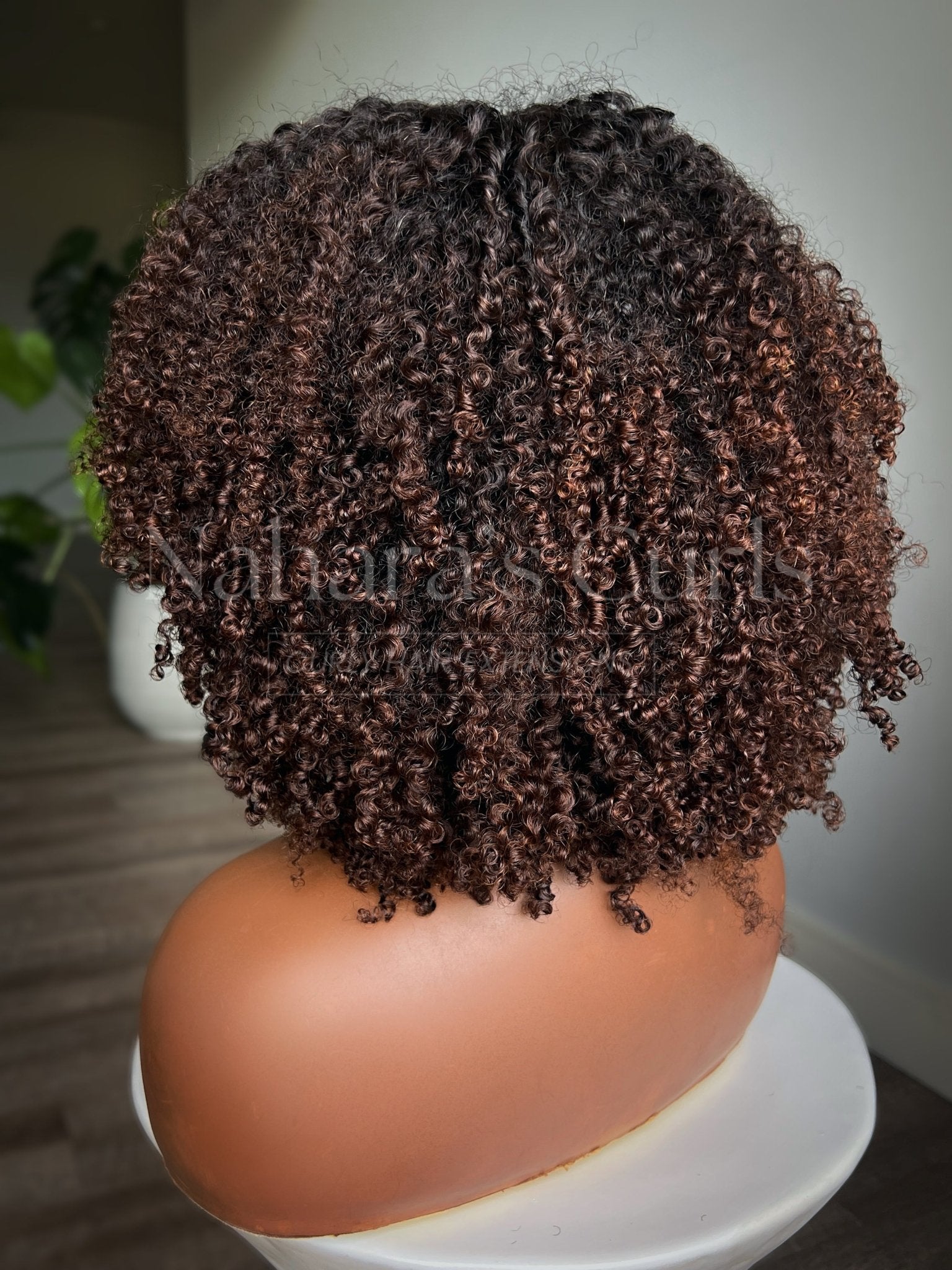 Back view of a kinky curly human hair wig showing dense curls, natural movement, and brown balayage
