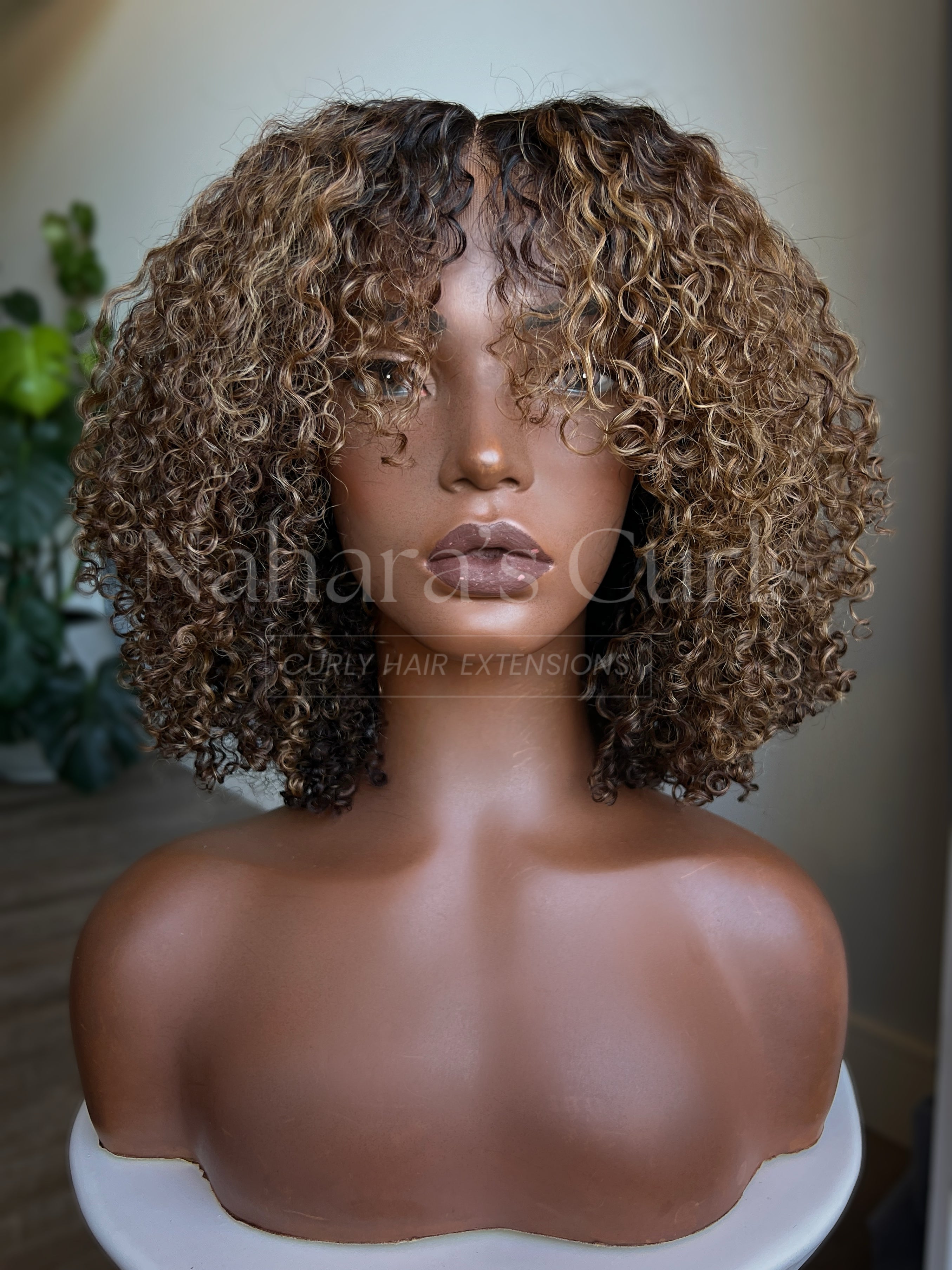 Sundara 13x6 HD Lace Front Wig front view with defined aura curls and blonde highlights