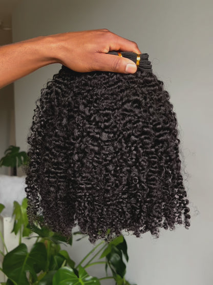 "Aura" Wefted Hair